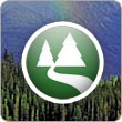 EVERYTHING GREEN