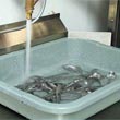 APM Presoak Food & Flatware Wash, Food Service & Processing Cleaning Concentrate Refills - APM Chemical Delivery & Dispensing Systems