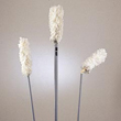 Rubbmermaid Overhead Dusting Tools - 51" Extension RCPT110
