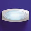 Johnson Diversey Vector™ Discreet Fly System - Replacement Traps DRK95365