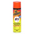 Timemist Pro Exterminator™ Crawling & Flying Insect Killer - 17.5-oz. Aerosol Can TMS3643