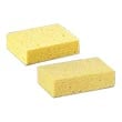 Commercial Sponges - Janitorial Sponges, Abrasives & Scouring Pads