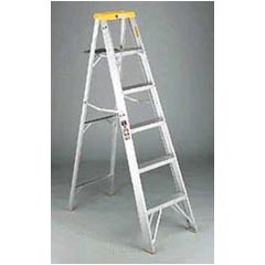 Davidson #428 6' Aluminum Step Ladder