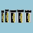 Energizer Industrial Alkaline Batteries - D - 12 Pack ENEEN95