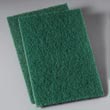 Premier Heavy-Duty Scour Pad [PAD186] PAD186
