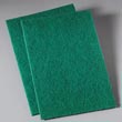 Premier Medium-Duty Scour Pad [PAD196] PAD196