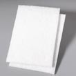 Premier Light-Duty Scour Pad [PAD198] PAD198