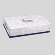Georgia Pacific ENVISION® Facial Tissue - 100 Tissues per Box GPC474-10