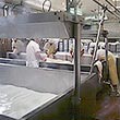 Stearns Premeasured One Packs™ Foodservice Cleaning Products - Dispenser-Free Prepackaged One Packs™ Cleaning Products