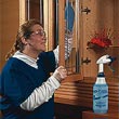 Stearns Premeasured One Packs™ Windows & Stainless Steel Cleaning Products - Dispenser-Free Prepackaged One Packs™ Cleaning Products