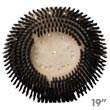 Malish [772419] TUFF-BLOCK® Floor Machine General Purpose Poly Showerfeed Scrubbing Brush - Plastic Block - 19" Dia. MB-772419