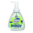 Antibacterial Hand Sanitizer Foam, Neutral Scent, 450mL Pump Bottle DIA06040                                          