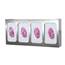 Glove Dispenser Quad with Dividers Stainless Steel GS-124 GS-124