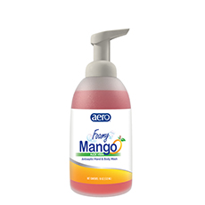 (12) Foamy Antiseptic Hand and Body Wash Mango Fragrance - 18 Oz. AC-687618LA-00