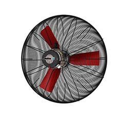 Basket Fan