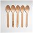 wdc-bisp160-ctn-foodstiks-compostable-wood-spoon_2