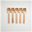 wdc-bitsp95-cs-compostable-wood-taster-spoon_2