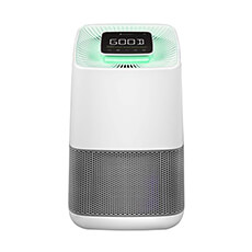 Greentech ActiveHEPA+ ROOM with ODOGard Air Purifier - 575 sq ft. Coverage GT-1X5825