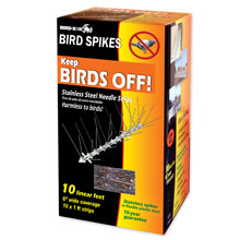 Stainless Steel Spikes - 10 ft. BX-STS-10-R