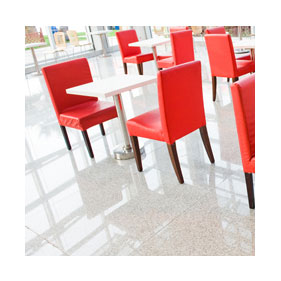 Mastercraft Low Speed Floor Machine