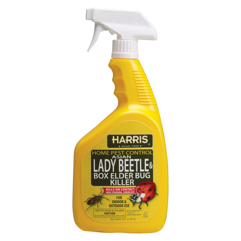 32 oz. Asian Lady Beetle & Box Elder Bug Killer