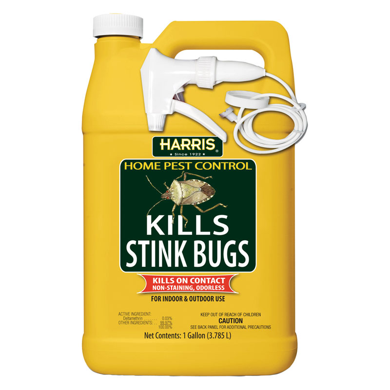 1 Gallon Ready-To-Use Stink Bug Killer
