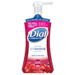 Complete Antibacterial Foaming Hand Wash - Cranberry
